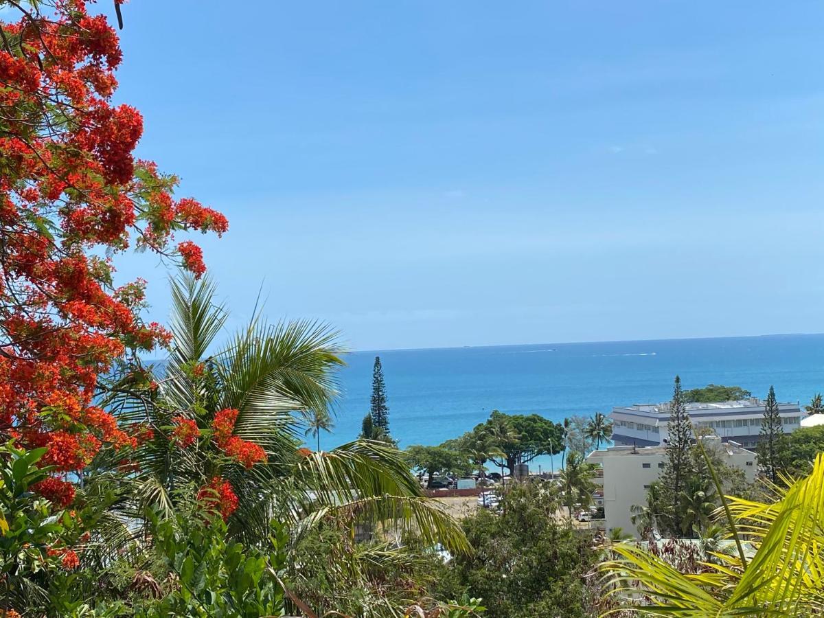 Residence Les Cactus Noumea Eksteriør billede